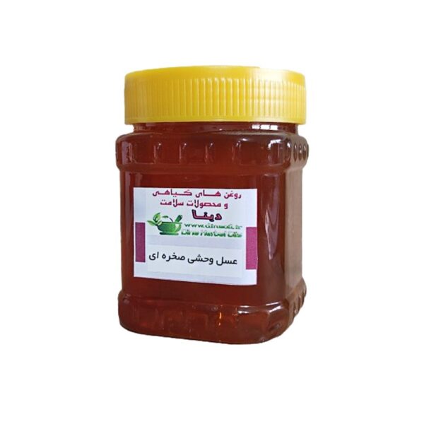 عسل وحشی صخره (بدون موم) بکر و خالص و دارویی دینا - نیم کیلویی