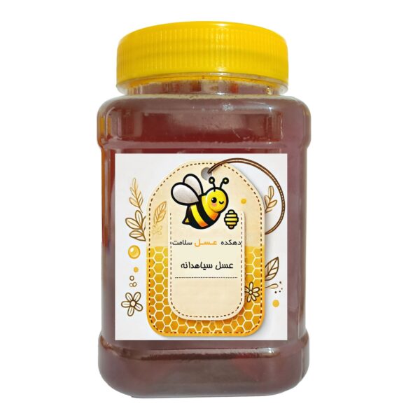 عسل سیاهدانه دهکده عسل سلامت دینا - 1 کیلوگرم
