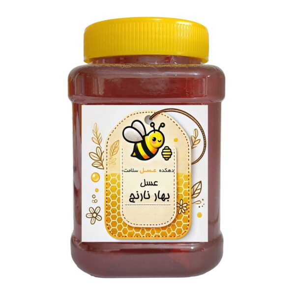 عسل بهار نارنج دهکده عسل سلامت دینا - 1 کیلوگرم