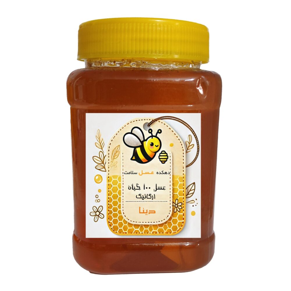 عسل 100 گیاه ارگانیک دارویی دهکده عسل سلامت دینا - 1 کیلوگرم