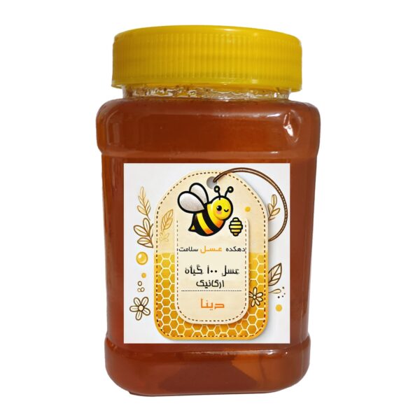 عسل 100 گیاه ارگانیک دارویی دهکده عسل سلامت دینا - 1 کیلوگرم