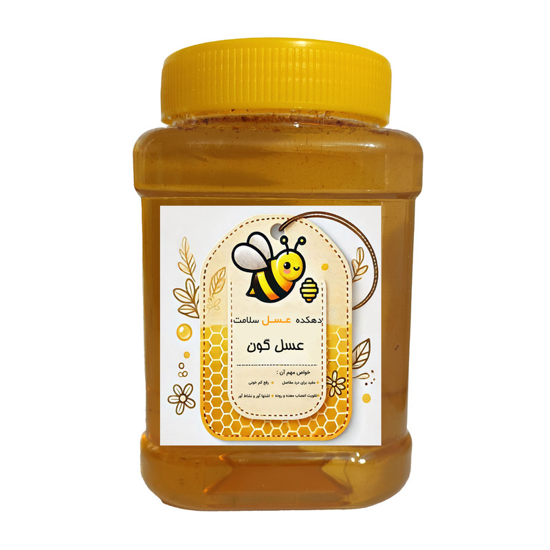 عسل گون طبیعی دهکده عسل سلامت - 1 کیلوگرم - Image 3