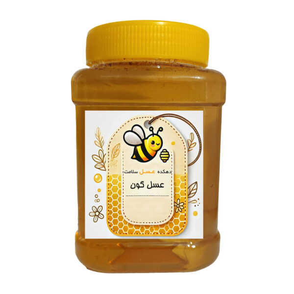 عسل گون طبیعی دهکده عسل سلامت - 1 کیلوگرم