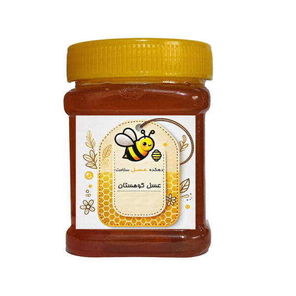 عسل طبیعی کوهستان بدون موم - 500 گرم